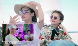 谁爆料张嘉倪的视频最新,背后真相令人震惊